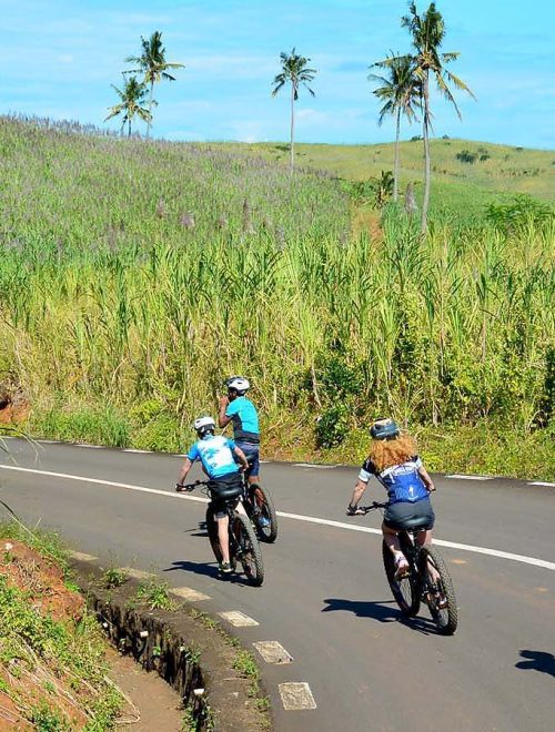 Chamarel Scenic E-Bike Tour