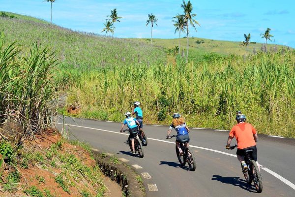 Chamarel Scenic E-Bike Tour