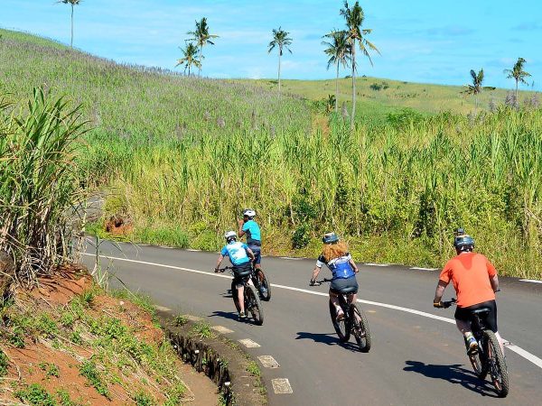 Chamarel Scenic E-Bike Tour